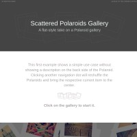 Scattered Polaroids Gallery